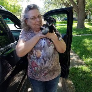 Meet your Posher, Joyce